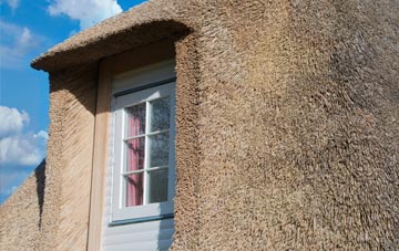 Willett thatch roof disadvantages