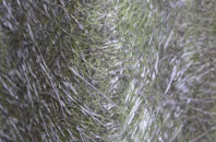 Willett fibreglass roof work